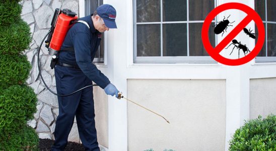 Yenifakılı Böcek İlaçlama böcek ilaçlama ve haşere kontrolü — ilaclama-tr.com